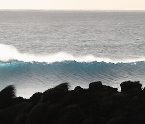 Large wave heads toward coast on Macquarie Island