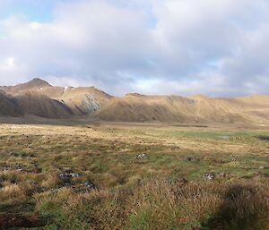 Sweeping view of western escarpment, featherbeds and Half Moon Bay towards Eagle Caves