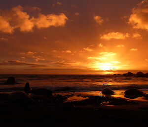 A golden sunset over West Beach highlights the shapes of elephant seals on the sand, 28 June 2012