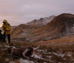 Expeditioner and dog on mountain