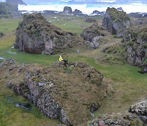 Aurora rock garden