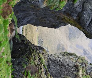 Cormorant Point gap