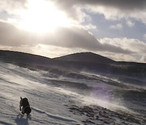 Katie in a snow drift