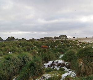 Long shot of rusty boiler outside in grasses at Bauer Bay