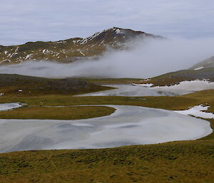 Expeditioner Dave with dog Tamar barely visible in Macquarie Island landscape grass, snow and hills