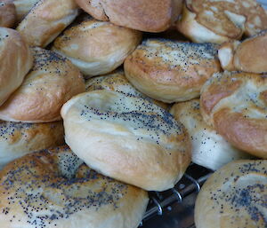 Close up of a pile of bagels