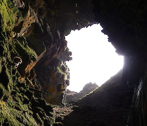 Photo from inside Eagle Cave, Macquarie Island
