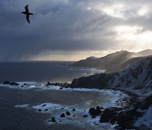 Macca coastline