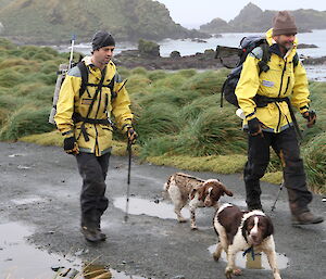 Steve, Stu, Katie and Gus leaving station (people and dogs)