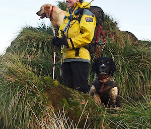 Karen and two of the MIPEP hunting dogs