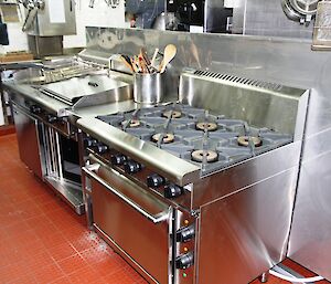 The new kitchen showing shiny, steel industrial kitchen stove etc