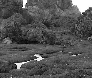 Hurd Point rockstacks