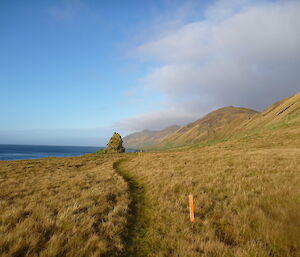 The last km to Waterfall Bay Hut with rolling green landscape and water just visible on left