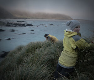 Expeditioners looking for snow petrels