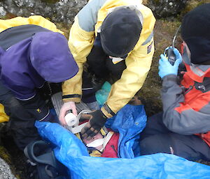 Dana, Steve and Jack attending to Kelly