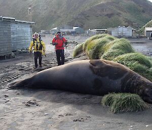 A road block — 4 tonne worth