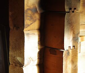 Oregan timbers, Green Gorge Hut