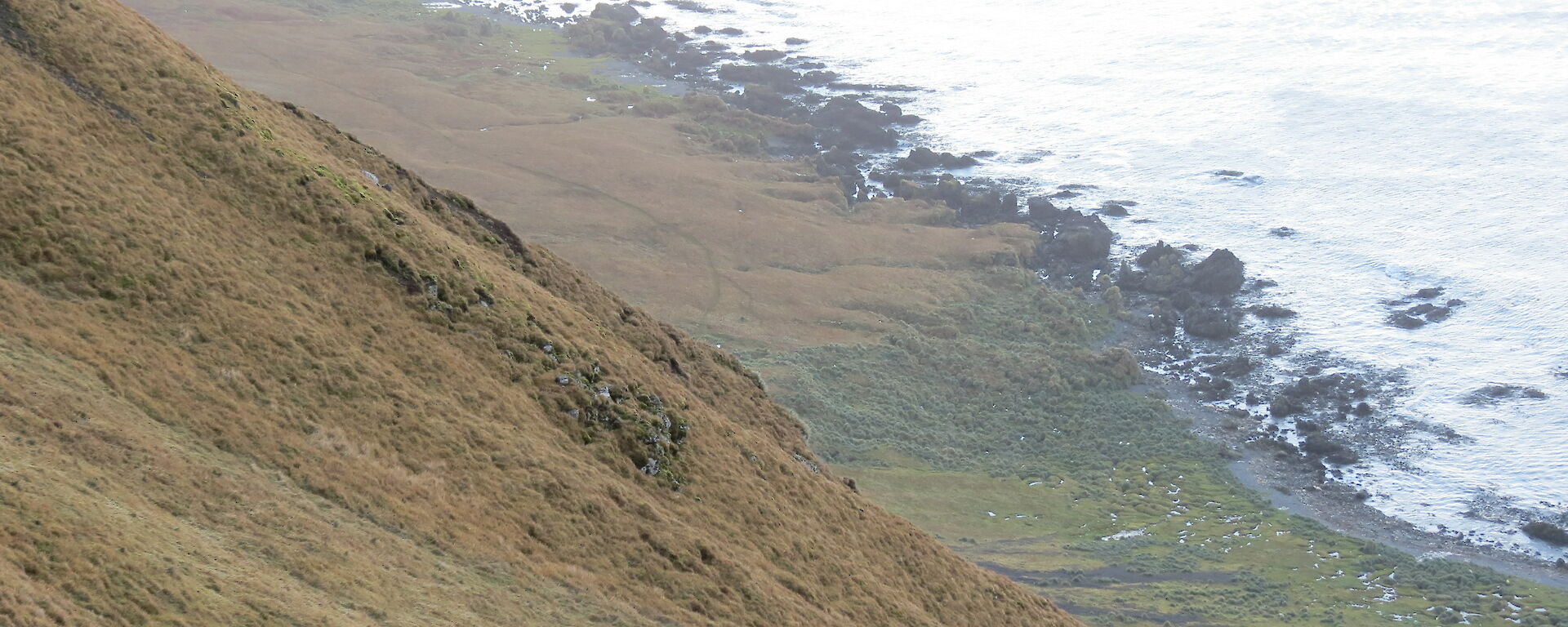 Kelly making her way up one of the West Coast slopes