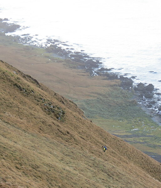 Kelly making her way up one of the West Coast slopes