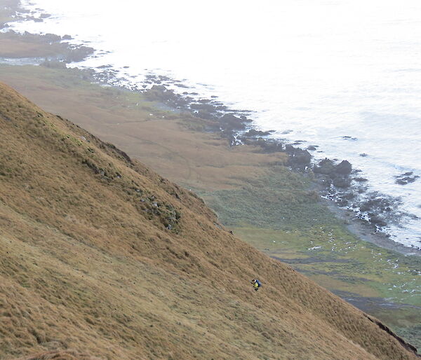 Kelly making her way up one of the West Coast slopes