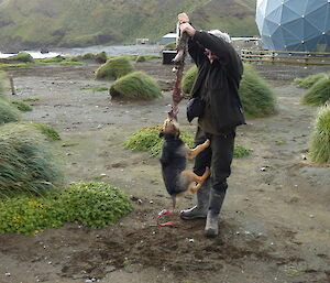 Dave with a very determined hunting dog, Tamar
