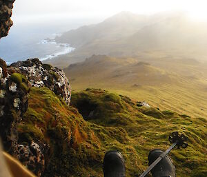 A view of Macquarie Island shore from a grass covered cliff/slope