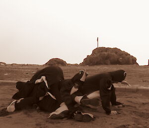 2012 Macquarie Island wintering team in penguin costumes fall on top of each other