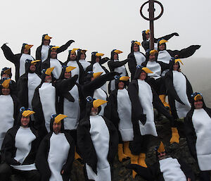 2012 Macquarie Island wintering team in penguin costumes