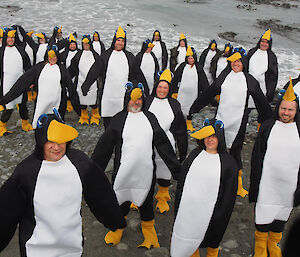 2012 Macquarie Island wintering team in penguin costumes pretending to come out of the sea
