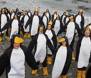 2012 Macquarie Island wintering team in penguin costumes pretending to come out of the sea