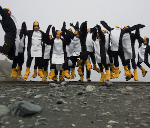 2012 Macquarie Island wintering team in penguin costumes, jumping up