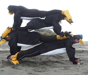 Members of 2012 Macquarie Island wintering team in penguin costumes in a stack