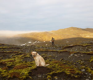 Cameron and Ricco (dog)