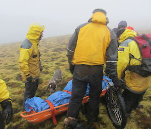 Preparing to move the patient back to Green Gorge