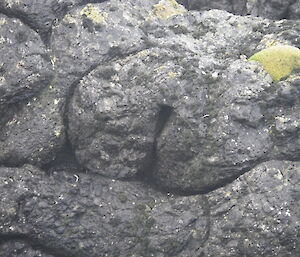 Interesting rock shapes