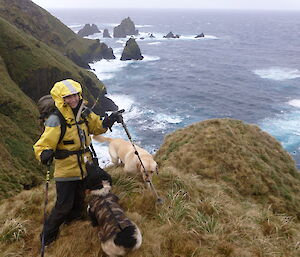 Karen with dogs Ash and Finn in full gear overlooking the ocean from Macca