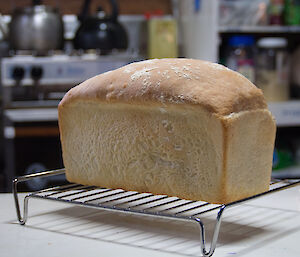 Bread baking in the huts