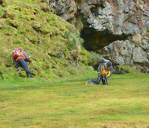 Cameron sinking below the grass with one leg in, attempting to follow Richard, the ranger in charge