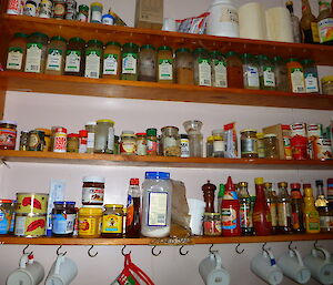 Hurd Point pantry