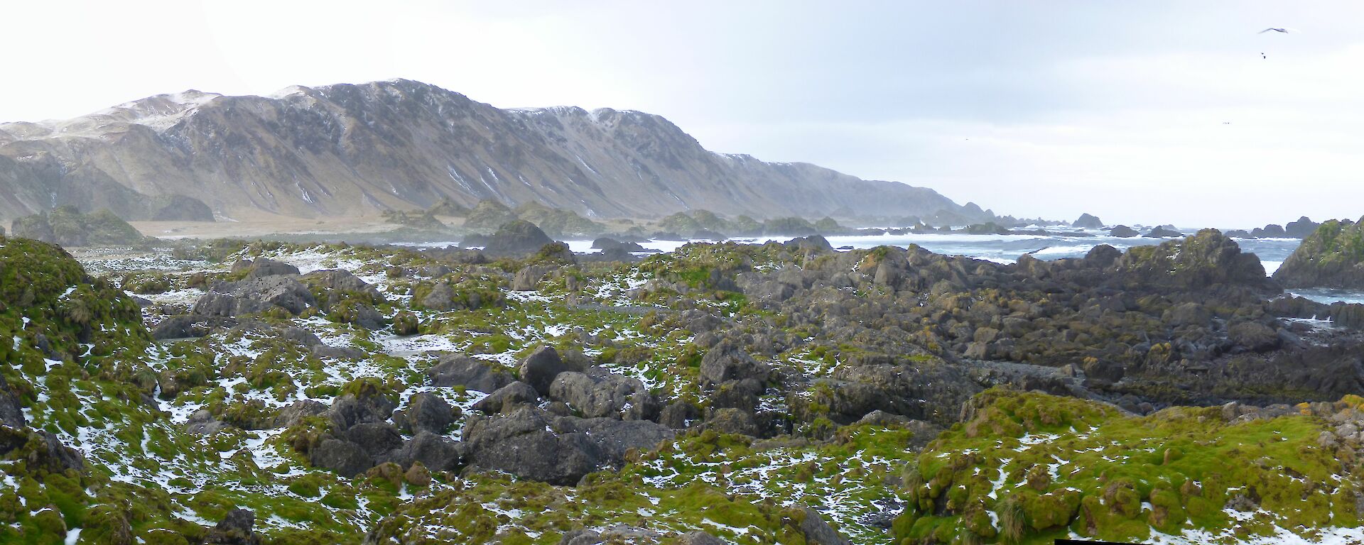 Mawson Point panorama