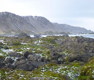 Mawson Point panorama