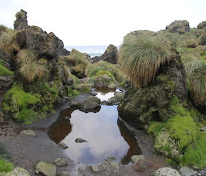 Wallows, tussocks and an ocean