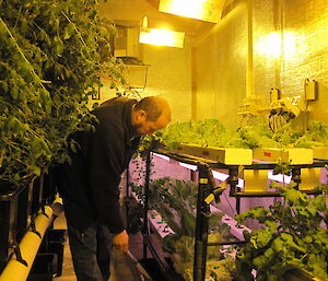 Robby checking the PH levels in hydroponics