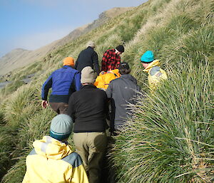 Up hills expeditioners carry a pretend patient during search and rescue training