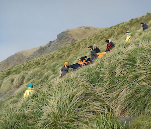 And down hills expeditioners carry a pretend patient during search and rescue training