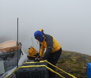 Mango unpacking the cage pallet Mt Waite