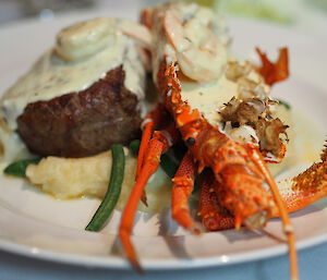Main course of surf and turf at end of winter dinner