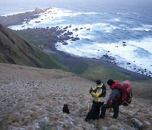 Dogs and expeditioners pose on a steep hill with water below on Macca