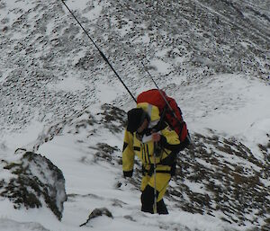 Mango back on Mt Waite to work on the repeater