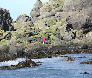 Colin on his way to clean the solar panels on the tide gauge, Garden Cove